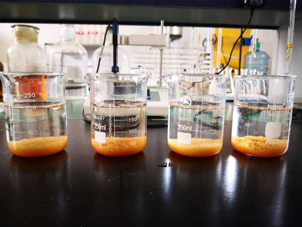 Discussion on the problem of alum bloom rising in sedimentation tank during polyaluminium chloride treatment